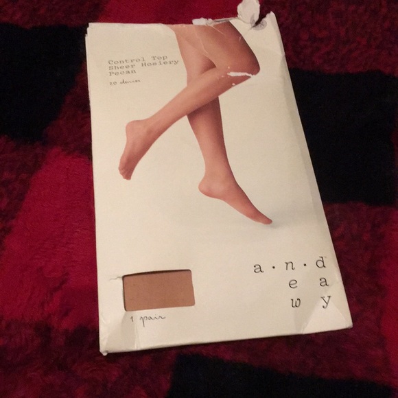 Control Top Sheer Hosiery in Pecan 2X